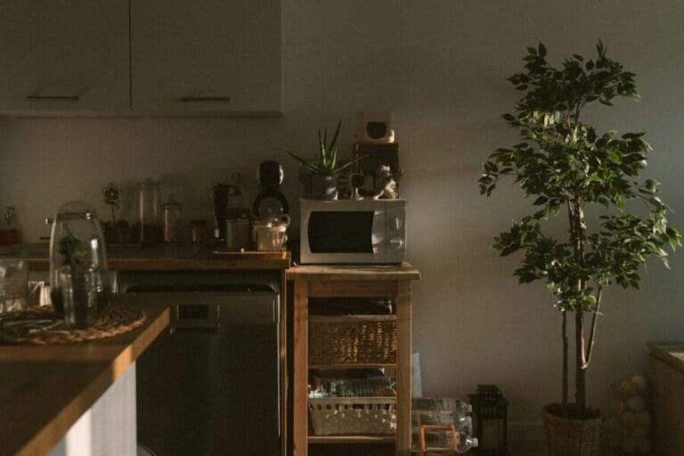 Panasonic Microwave Troubleshooting