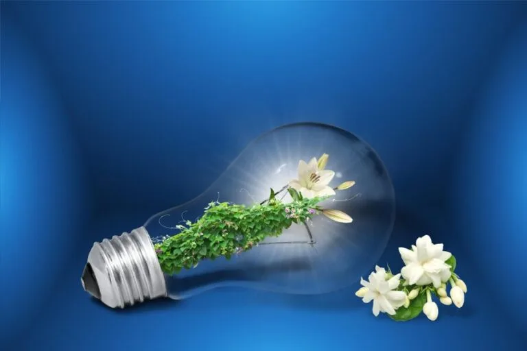 Sustainable Appliance