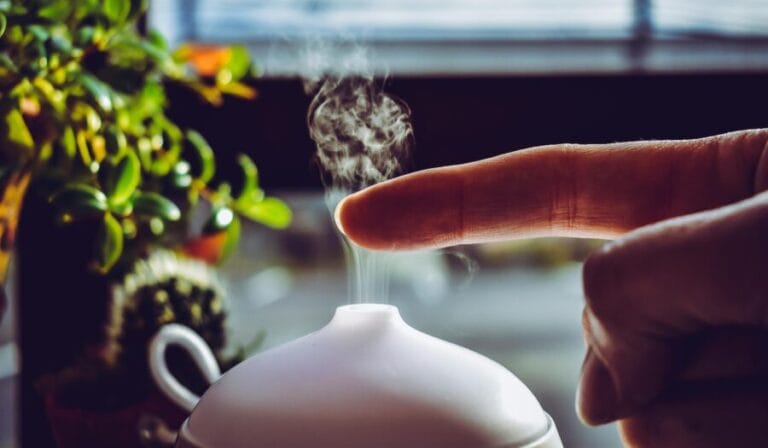 Humidifier Longevity