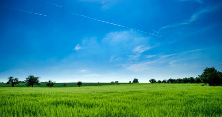 Philips Air Purifier Lifespan