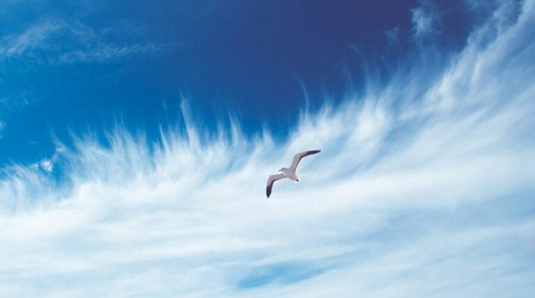 Alen Air Purifier Lifespan