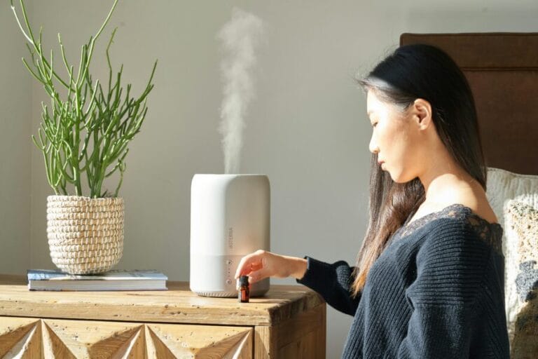 Best Humidifier Brands